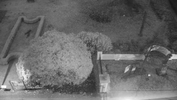 Snímek    14.11.2025 v 06:30