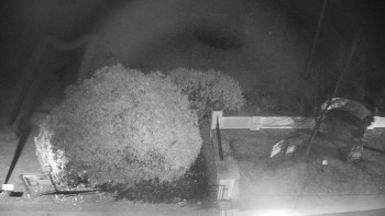 Snímek 15.11.2025 v 00:00