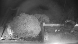 Veselíčko - zahrada u zámku