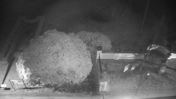 Snímek 16.11.2025 v 05:00