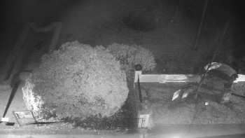 Snímek 17.11.2025 v 05:30