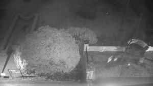 Obec Veselíčko - Veselíčko - zahrada u zámku - 17.11.2025 v 06:30 Obec Veselíčko - Veselíčko - zahrada u zámku - 17.11.2025 v 06:30