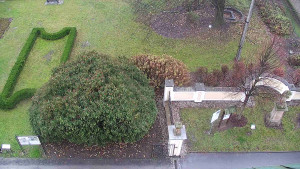 Obec Veselíčko - Veselíčko - zahrada u zámku - 17.11.2025 v 08:30 Obec Veselíčko - Veselíčko - zahrada u zámku - 17.11.2025 v 08:30