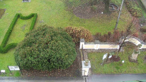 Obec Veselíčko - Veselíčko - zahrada u zámku - 17.11.2025 v 09:30 Obec Veselíčko - Veselíčko - zahrada u zámku - 17.11.2025 v 09:30