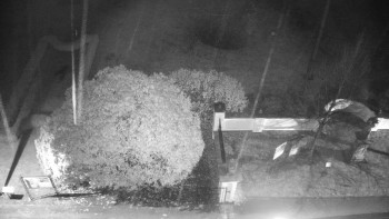 Snímek 17.11.2025 v 18:30