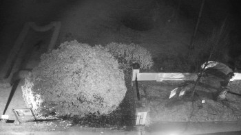 Snímek 17.11.2025 v 21:00