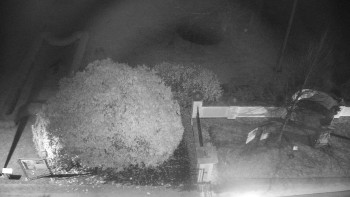 Snímek    19.11.2025 v 01:00