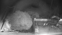 Veselíčko - zahrada u zámku