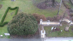 Veselíčko - zahrada u zámku