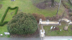 Veselíčko - zahrada u zámku