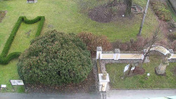 Veselíčko - zahrada u zámku