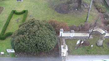 Snímek    20.11.2025 v 15:00