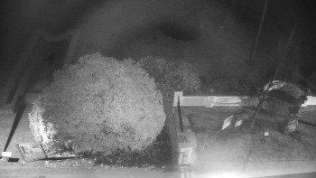 Snímek    20.11.2025 v 21:30