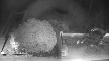 Snímek 20.11.2025 v 23:00