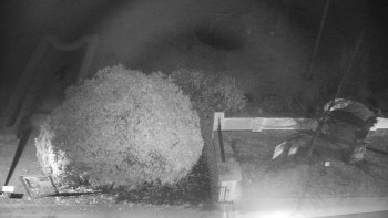 Snímek    21.11.2025 v 00:00