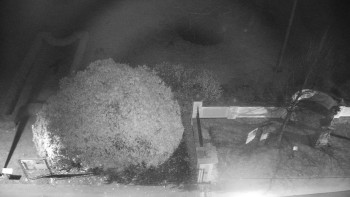 Snímek    21.11.2025 v 21:30