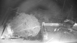 Veselíčko - zahrada u zámku