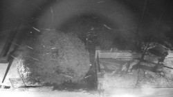 Veselíčko - zahrada u zámku