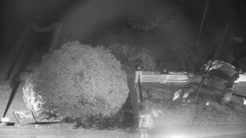 Snímek    23.11.2025 v 18:30