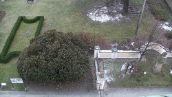 Veselíčko - zahrada u zámku