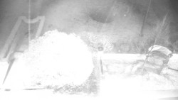 Veselíčko - zahrada u zámku