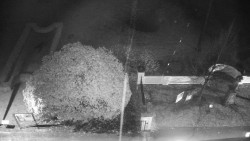 Veselíčko - zahrada u zámku