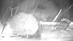 Veselíčko - zahrada u zámku