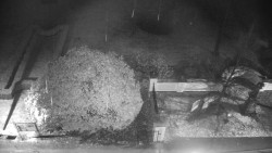 Veselíčko - zahrada u zámku