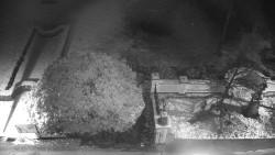 Veselíčko - zahrada u zámku