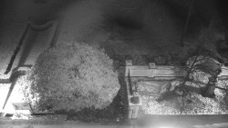 Veselíčko - zahrada u zámku