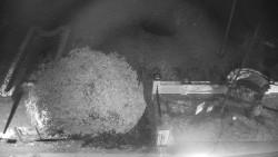 Veselíčko - zahrada u zámku