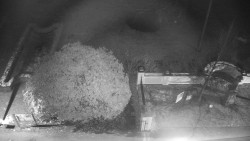 Veselíčko - zahrada u zámku