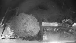 Veselíčko - zahrada u zámku