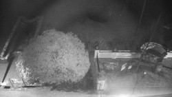 Veselíčko - zahrada u zámku