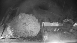 Veselíčko - zahrada u zámku