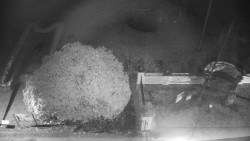 Veselíčko - zahrada u zámku