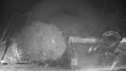 Veselíčko - zahrada u zámku