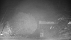 Veselíčko - zahrada u zámku