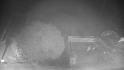 Veselíčko - zahrada u zámku