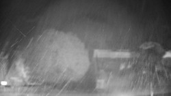 Veselíčko - zahrada u zámku