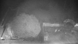 Veselíčko - zahrada u zámku