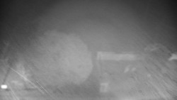 Veselíčko - zahrada u zámku