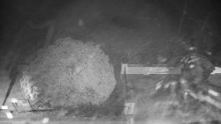 Veselíčko - zahrada u zámku