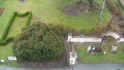 Veselíčko - zahrada u zámku