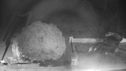 Veselíčko - zahrada u zámku