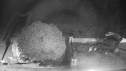 Veselíčko - zahrada u zámku