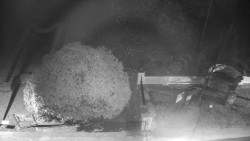 Veselíčko - zahrada u zámku