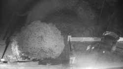 Veselíčko - zahrada u zámku