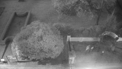 Veselíčko - zahrada u zámku