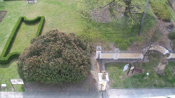 Veselíčko - zahrada u zámku